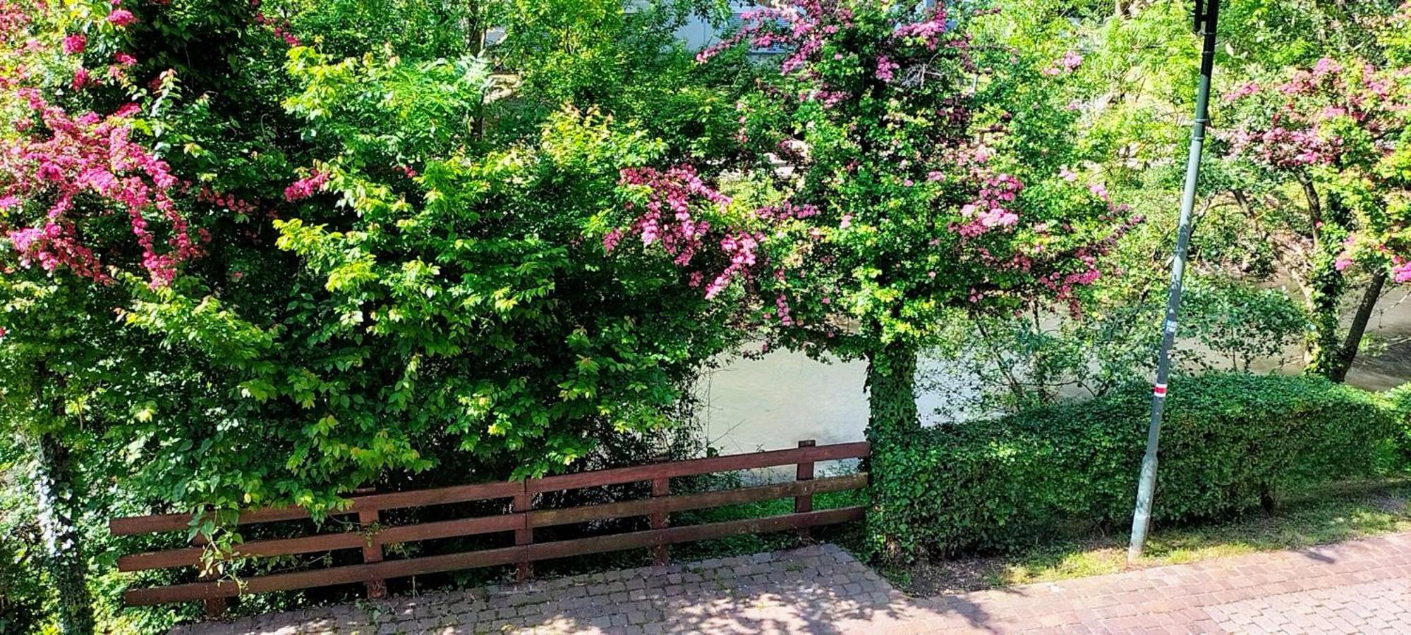 Alte Stadtmauer - Apartment Sinsheim Exteriér fotografie