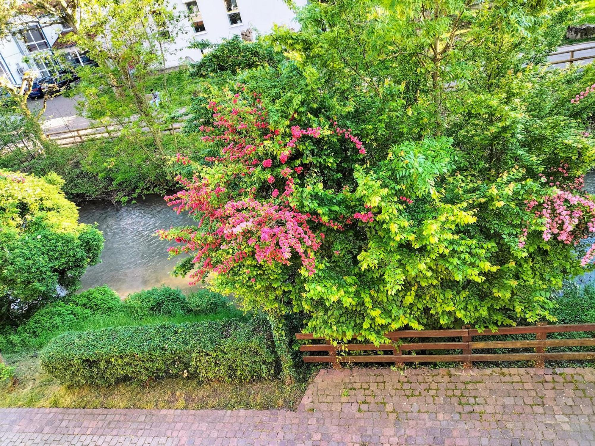 Alte Stadtmauer - Apartment Sinsheim Exteriér fotografie